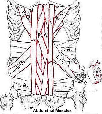 Abdominals - Packing tape Abdominals - Packing tape