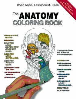 Anatomy Colouring Book Cover