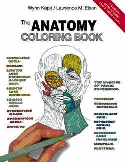 Anatomy Colouring Book Cover