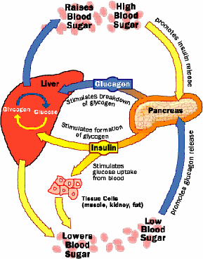 Blood sugar control diabetes  [image]