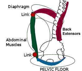 Core Structure