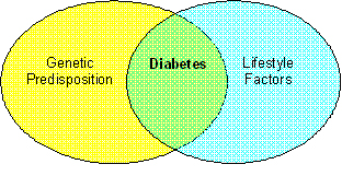 Type 2 Diabetes Overlap