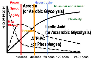 Energy systems and fitness components  [image]