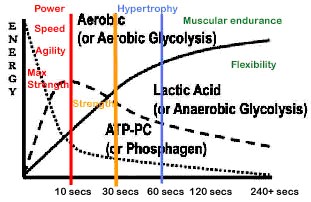 Energy systems and fitness components  [image]