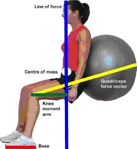 Swiss ball squat